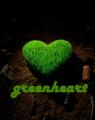   greenheart